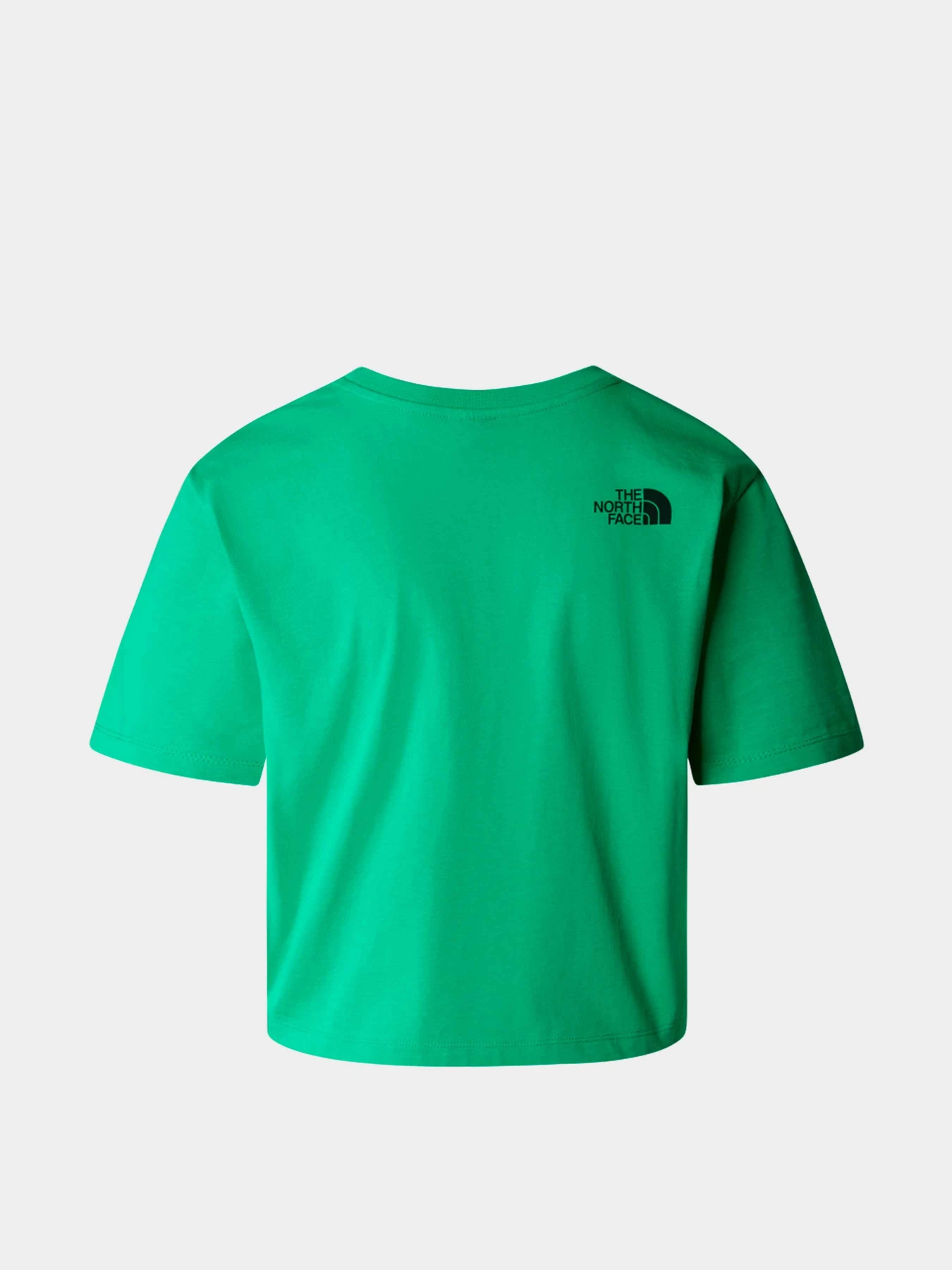 Футболки и поло The North Face модель NF0A87NBPO81 Футболки и поло The North Face модель NF0A87NBPO81 Фото