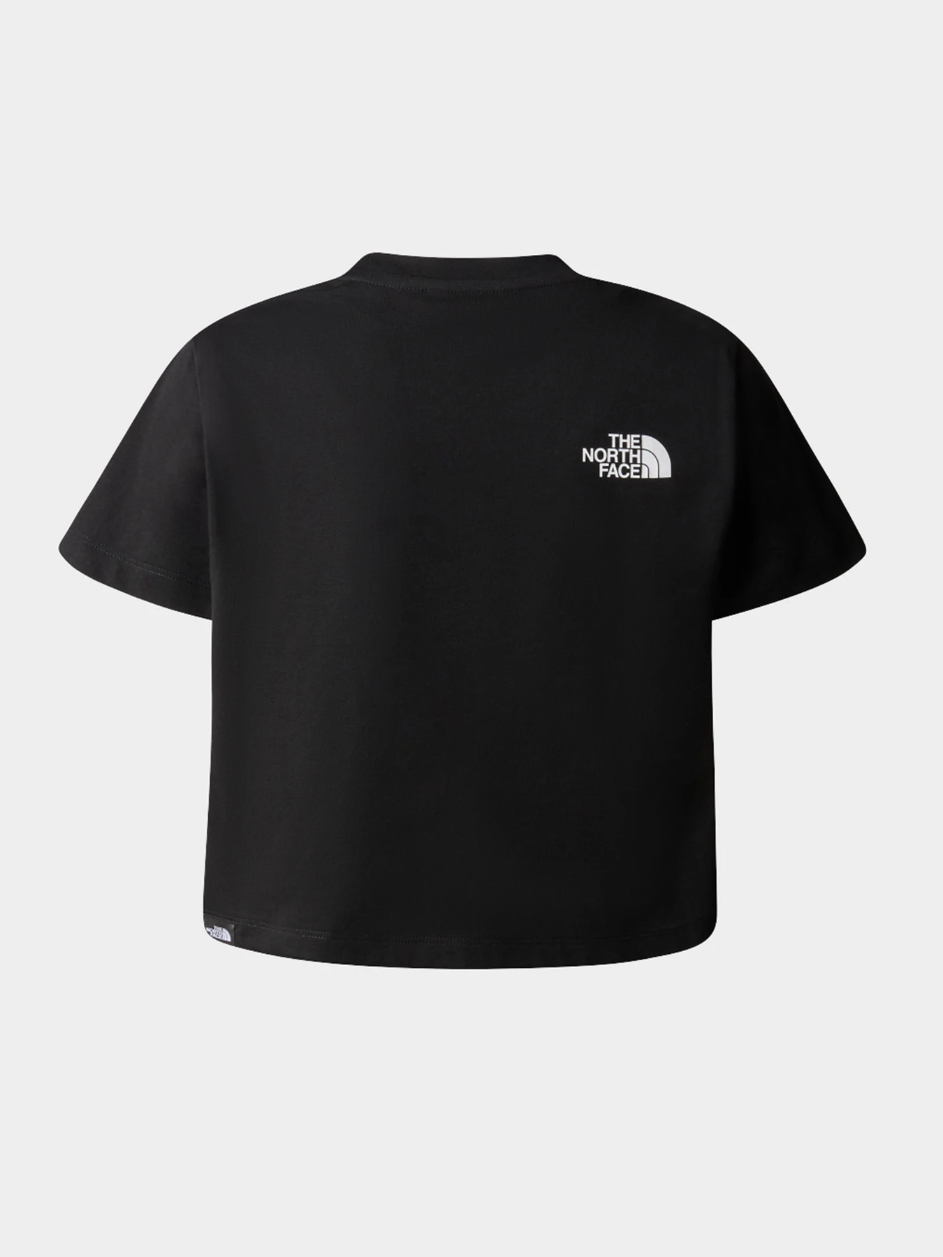 Футболки и поло The North Face модель NF0A87T7JK31 Футболки и поло The North Face модель NF0A87T7JK31 Фото