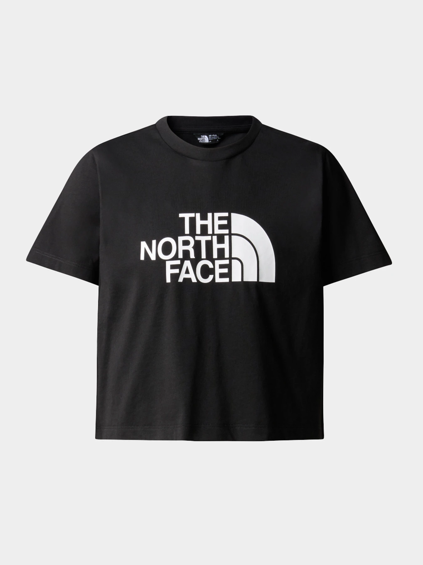Футболки и поло The North Face модель NF0A87T7JK31 Футболки и поло The North Face модель NF0A87T7JK31 Фото