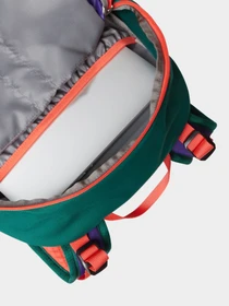 Рюкзаки The North Face модель NF0A87SJXO11 Фото