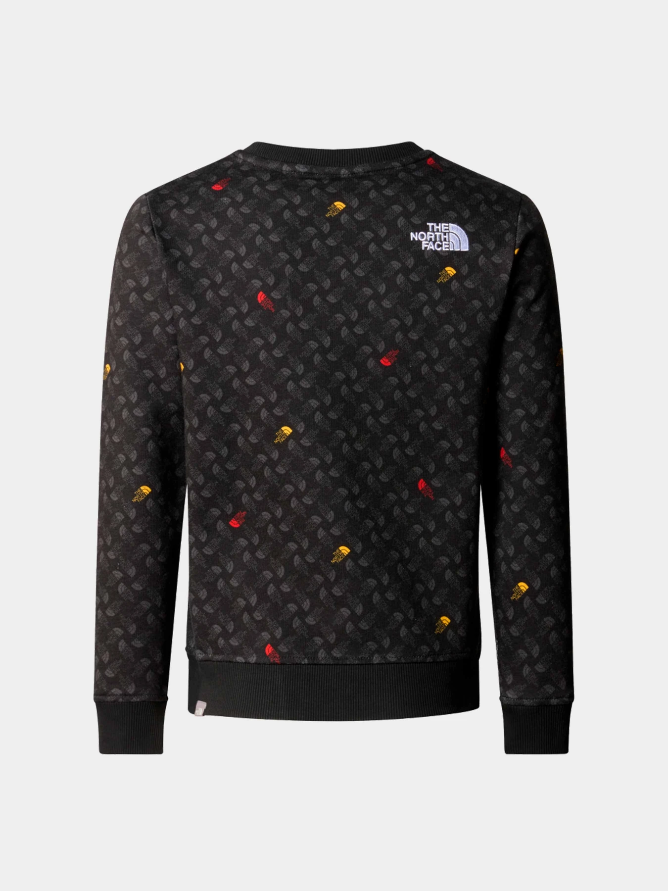 Худи и свитшоты The North Face модель NF0A8870U8I1 Фото