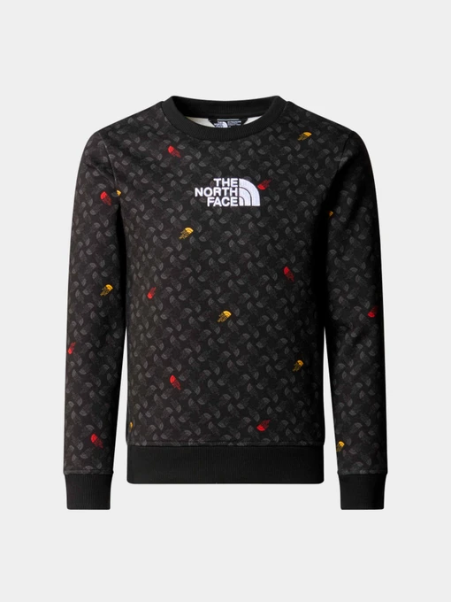 Худи и свитшоты The North Face модель NF0A8870U8I1 Фото