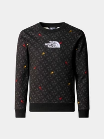 Худи и свитшоты The North Face модель NF0A8870U8I1 Фото