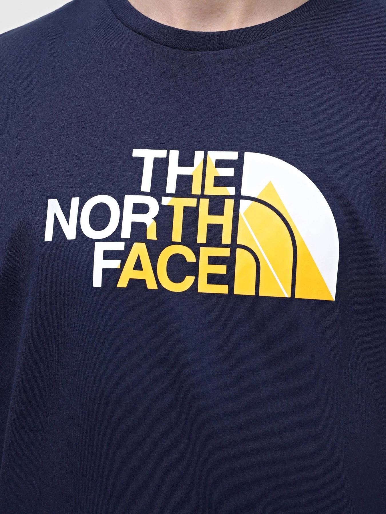 Футболки и поло The North Face модель NF0A894X8K21 Футболки и поло The North Face модель NF0A894X8K21 Фото