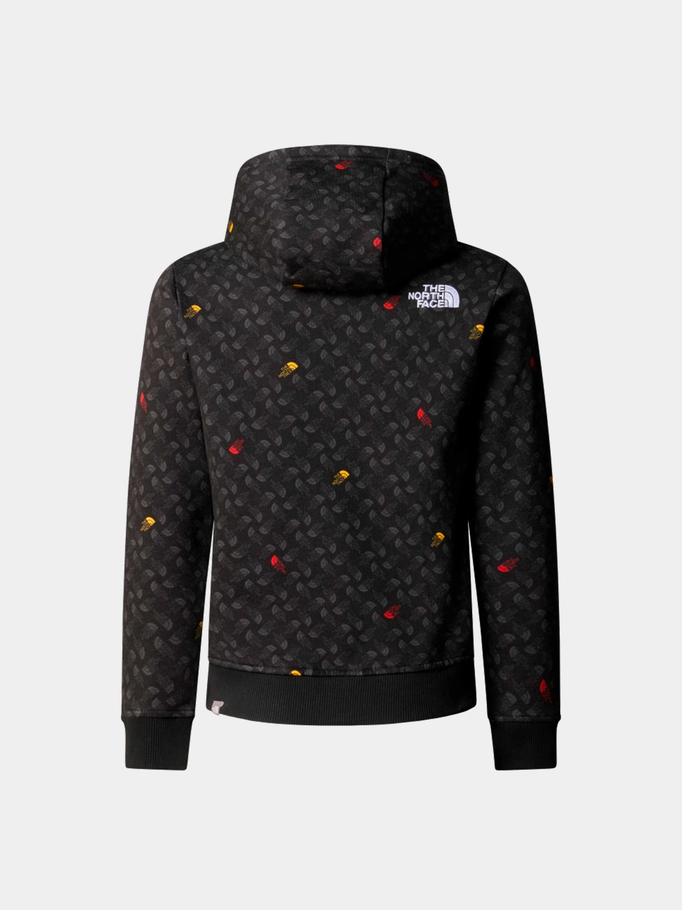 Худи и свитшоты The North Face модель NF0A886ZU8I1 Худи и свитшоты The North Face модель NF0A886ZU8I1 Фото