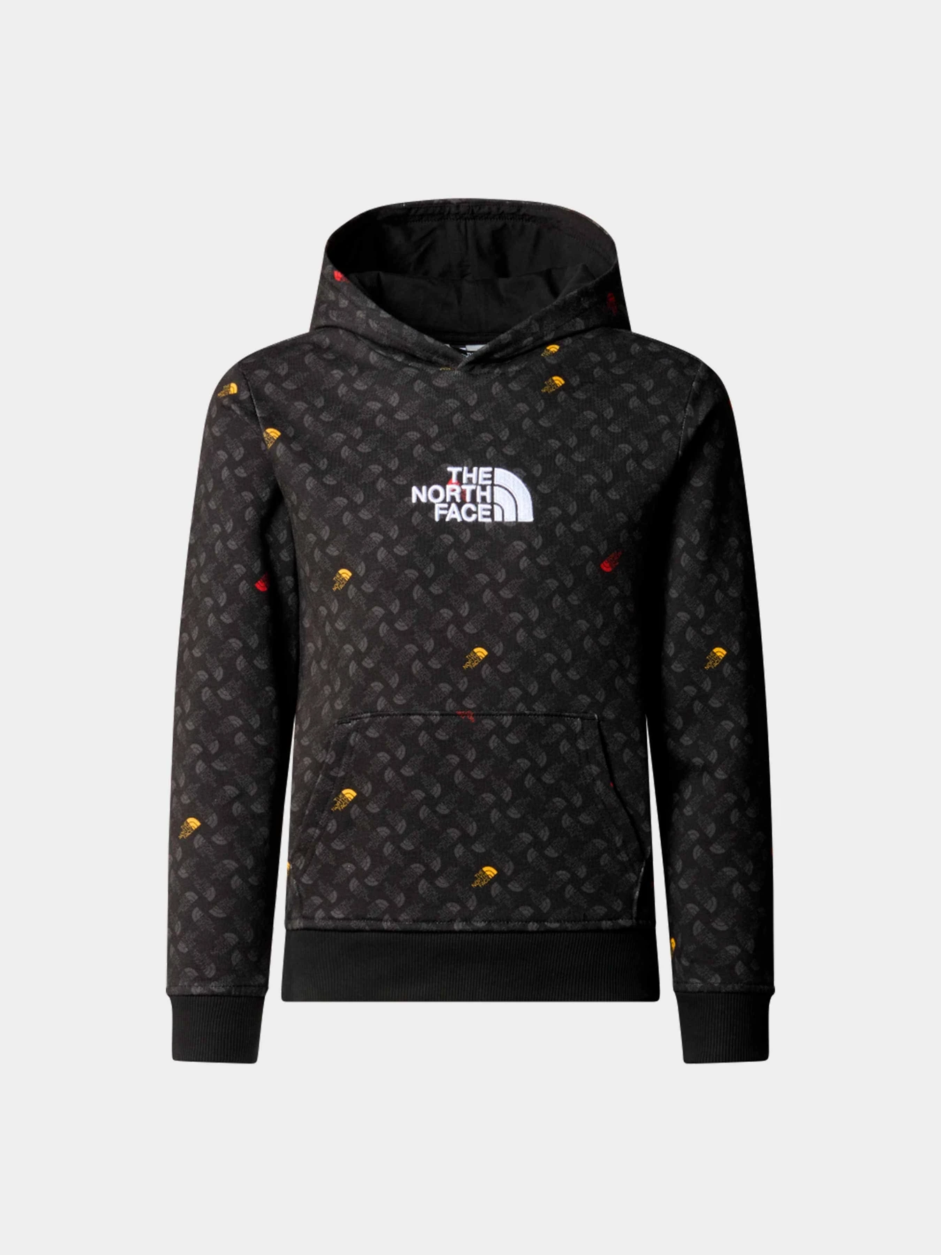 Худи и свитшоты The North Face модель NF0A886ZU8I1 Худи и свитшоты The North Face модель NF0A886ZU8I1 Фото