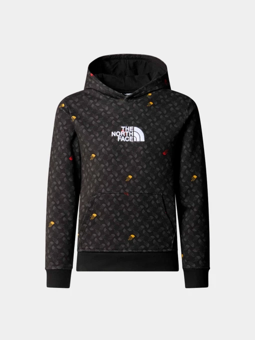 Худи и свитшоты The North Face модель NF0A886ZU8I1 Фото