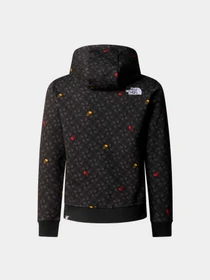 Худи и свитшоты The North Face модель NF0A886ZU8I1 Фото