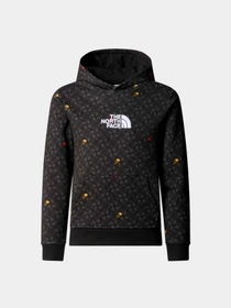 Худи и свитшоты The North Face модель NF0A886ZU8I1 Фото