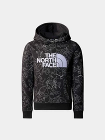 Худи и свитшоты The North Face модель NF0A886YSXI1 Фото