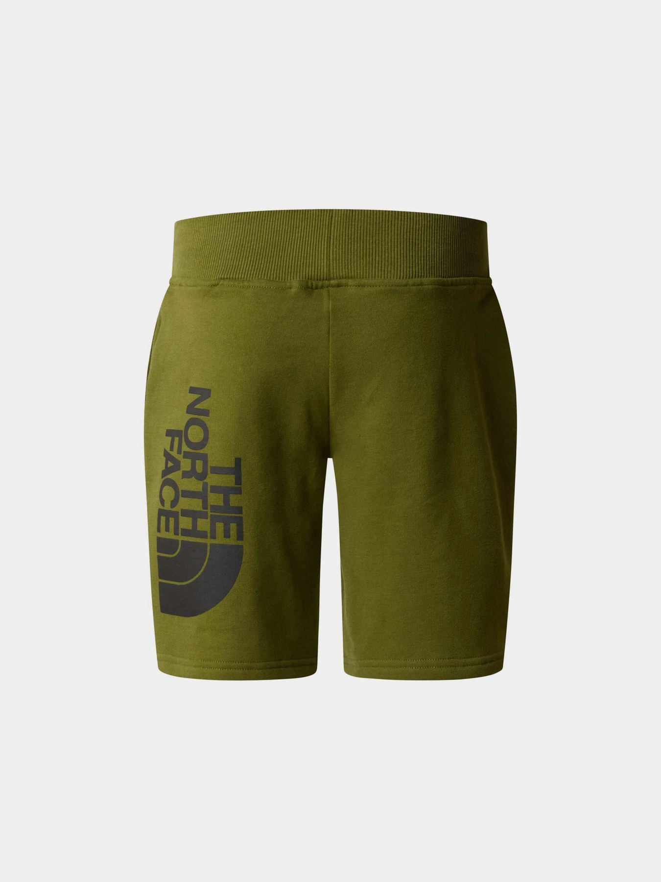 Шорты The North Face модель NF0A89P0PIB1 Шорты The North Face модель NF0A89P0PIB1 Фото