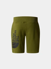 Шорты The North Face модель NF0A89P0PIB1 Фото