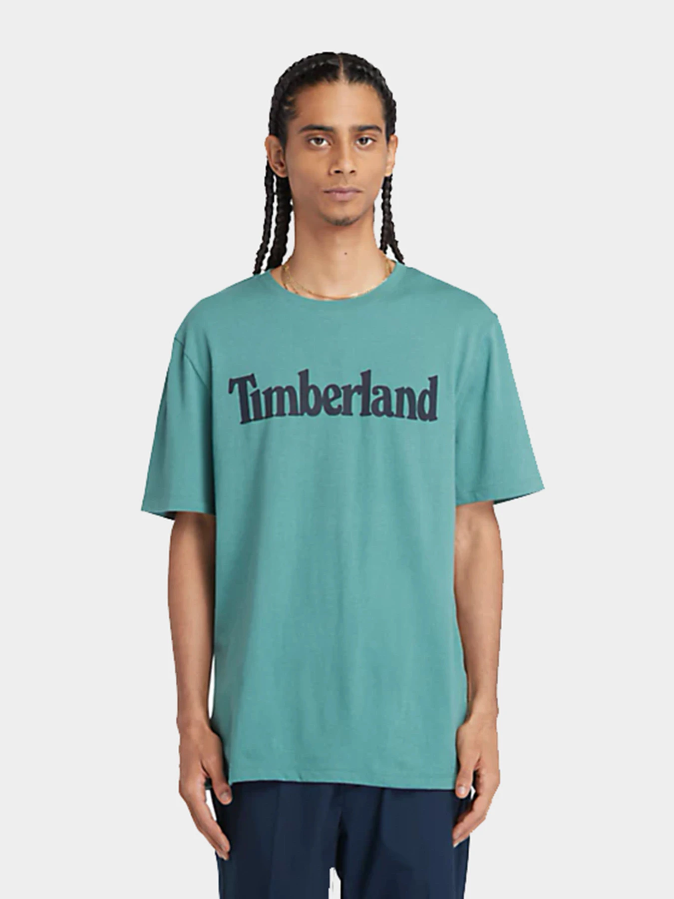 Футболки и поло Timberland модель TB0A2BRNCL61 Футболки и поло Timberland модель TB0A2BRNCL61 Фото
