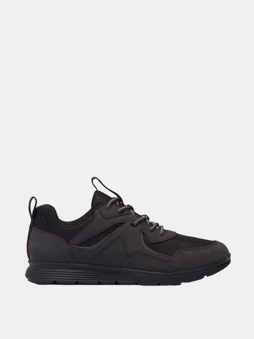 Кроссовки Timberland модель TB0A6A31EDG1 Фото