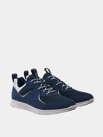 Кроссовки Timberland модель TB0A6A31EDH1 Фото