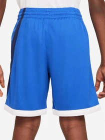 Шорты NIKE модель DM8186-480 Фото