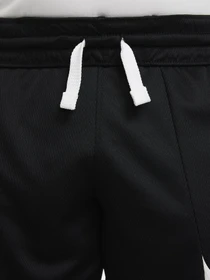 Шорты NIKE модель DM8186-010 Фото