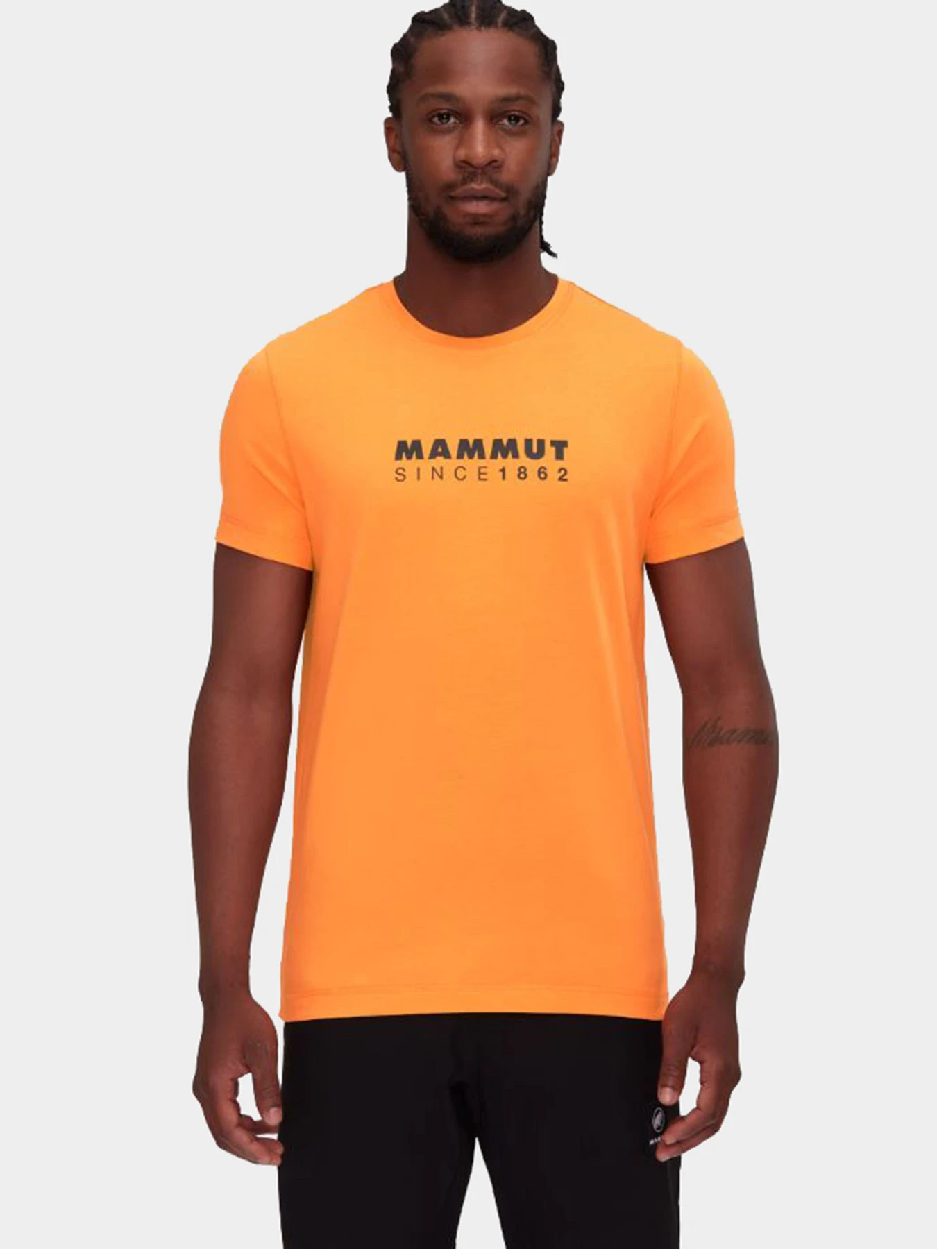 Футболки и поло Mammut модель 1017-04023-2259 Футболки и поло Mammut модель 1017-04023-2259 Фото