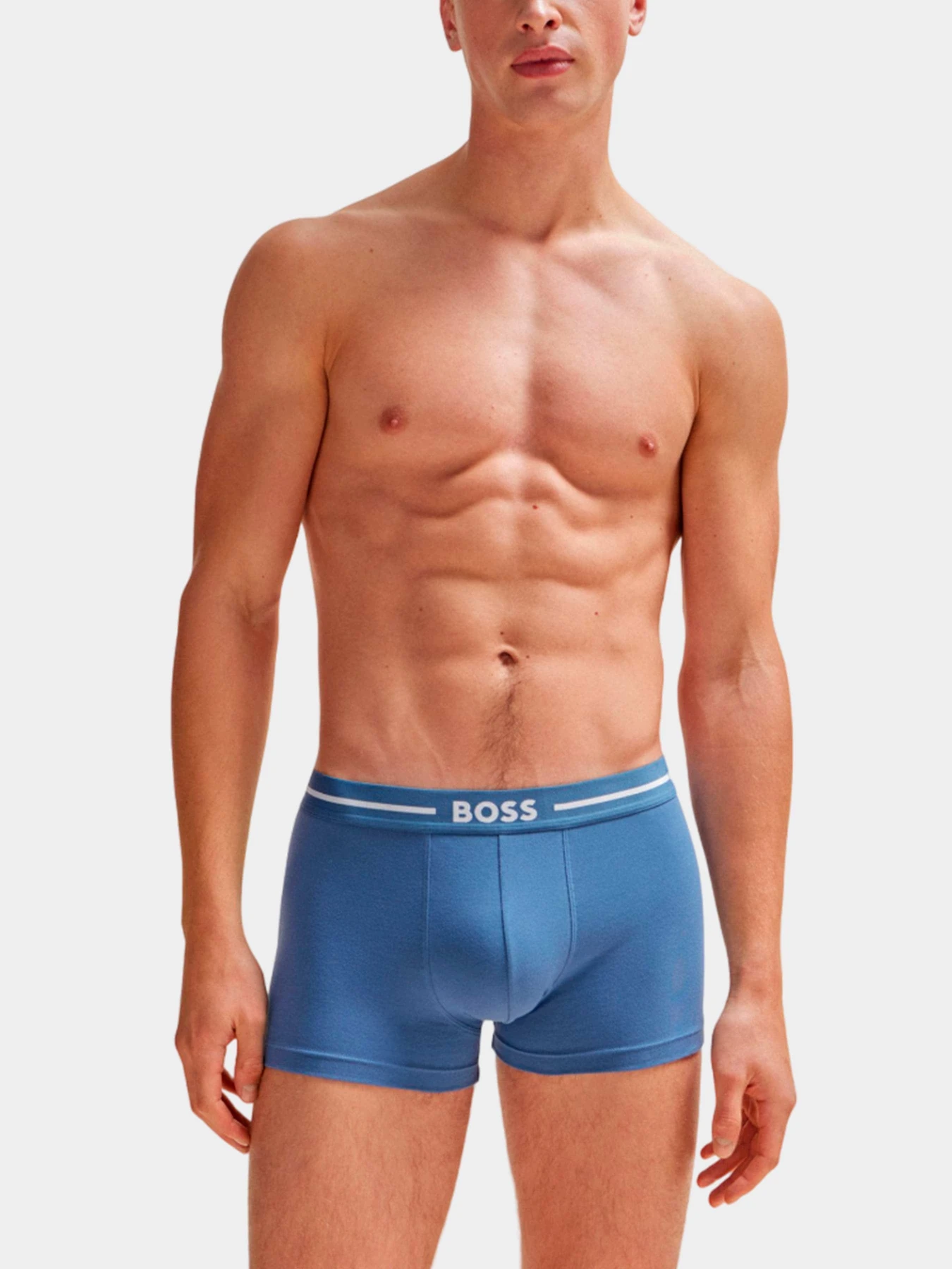 Нижнее белье Boss модель 50508878-968 Фото