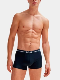 Нижнее белье Boss модель 50508878-968 Фото