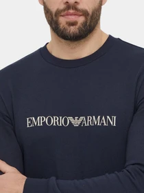 Худи и свитшоты Emporio Armani модель 111785-4R571-00135 Фото
