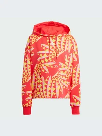 Худи и свитшоты Adidas модель IQ4491-KZ Фото
