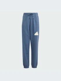 Брюки Adidas Культовые силуэты модель IS4395-KZ Фото