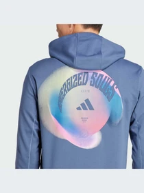 Худи и свитшоты Adidas модель IR9528-KZ Фото