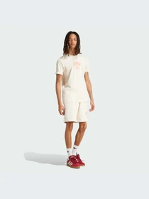 Шорты Adidas Graphics модель IS0189-KZ Фото