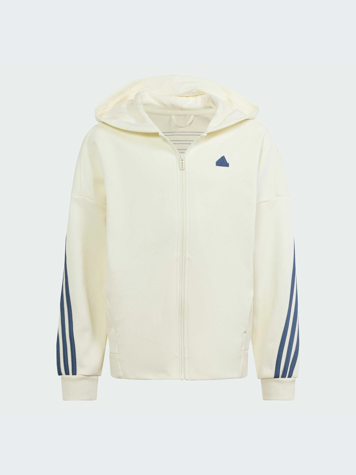 Худи и свитшоты Adidas модель IS4422-KZ Худи и свитшоты Adidas модель IS4422-KZ Фото