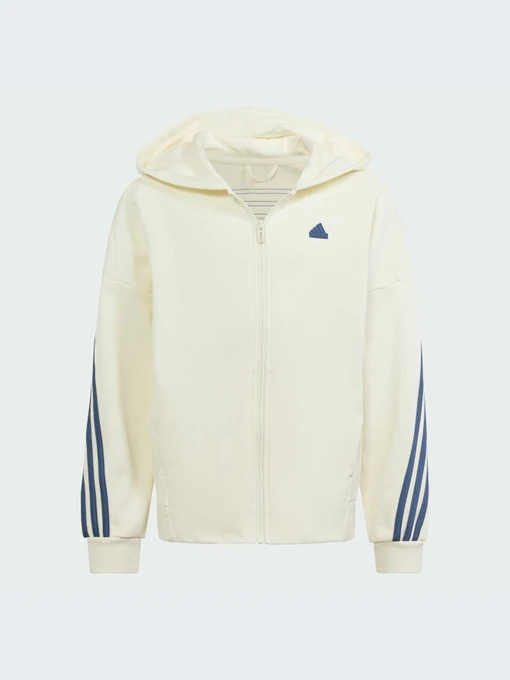 Худи и свитшоты Adidas модель IS4422-KZ Фото