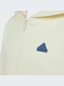 Худи и свитшоты Adidas модель IS4422-KZ Фото
