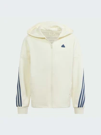 Худи и свитшоты Adidas модель IS4422-KZ Фото