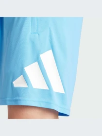 Шорты Adidas модель IT5421-KZ Фото