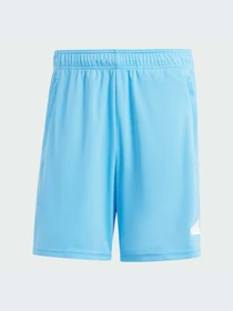 Шорты Adidas модель IT5421-KZ Фото