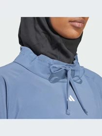 Худи и свитшоты Adidas модель IS1886-KZ Фото