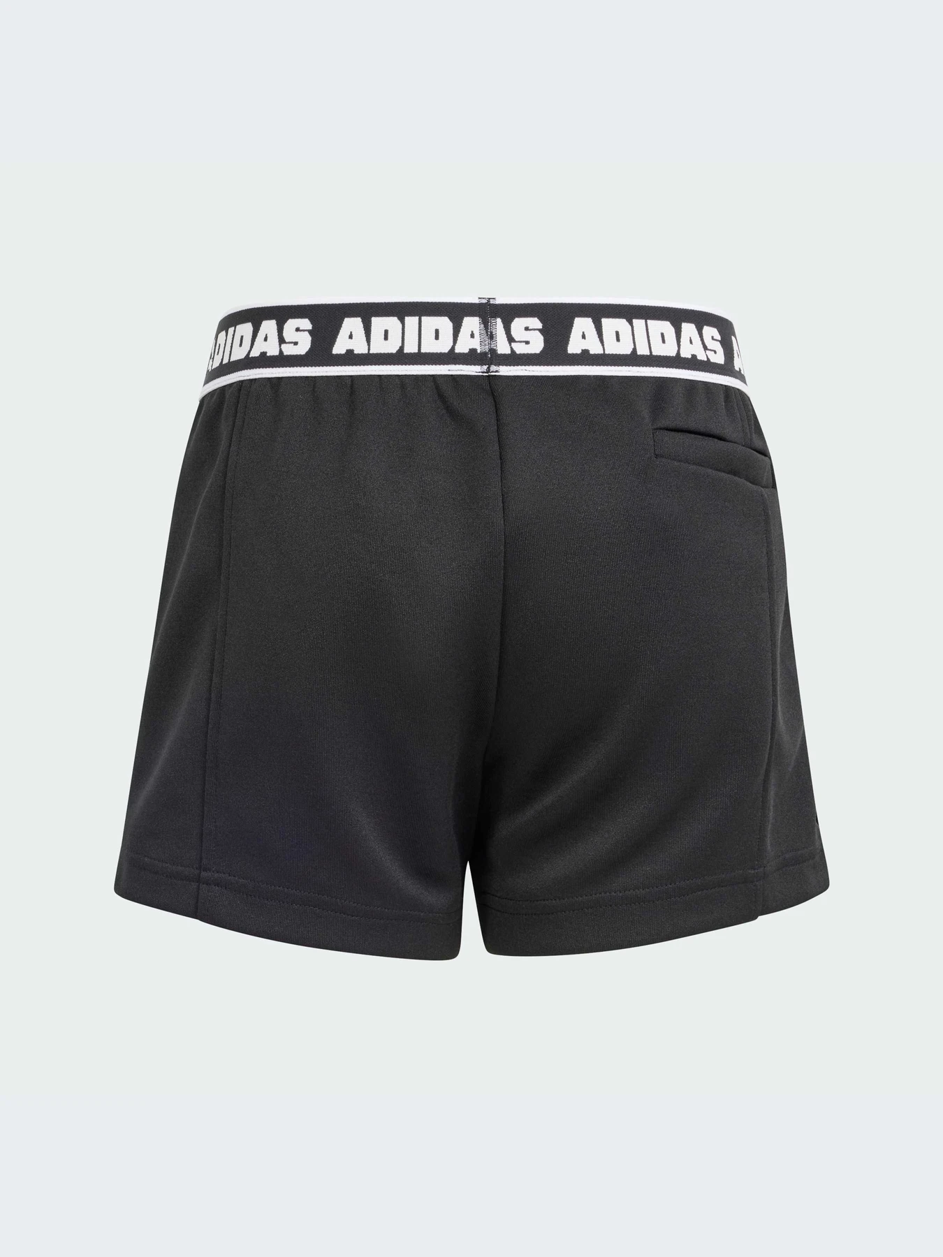 Шорты Adidas модель IS3772-KZ Шорты Adidas модель IS3772-KZ Фото