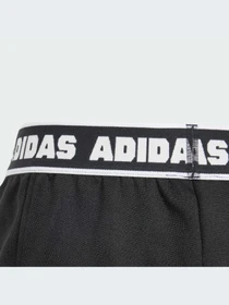 Шорты Adidas модель IS3772-KZ Фото