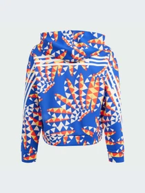 Худи и свитшоты Adidas модель IP1840-KZ Фото