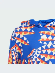 Худи и свитшоты Adidas модель IP1840-KZ Фото