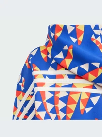 Худи и свитшоты Adidas модель IP1840-KZ Фото