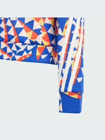 Худи и свитшоты Adidas модель IP1840-KZ Фото