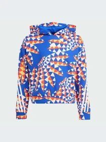 Худи и свитшоты Adidas модель IP1840-KZ Фото