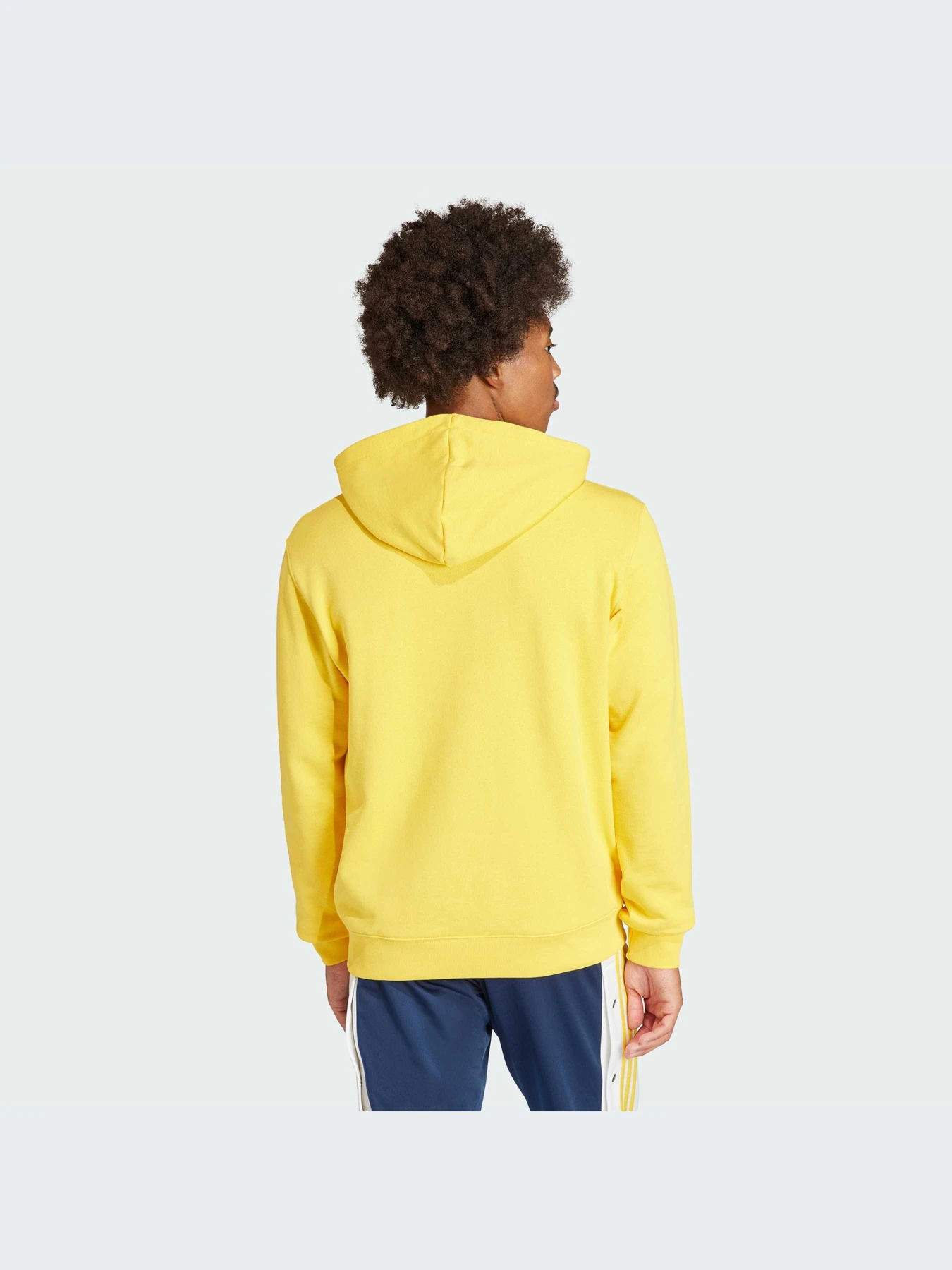 Худи и свитшоты Adidas Adicolor модель IM9409-KZ Худи и свитшоты Adidas Adicolor модель IM9409-KZ Фото
