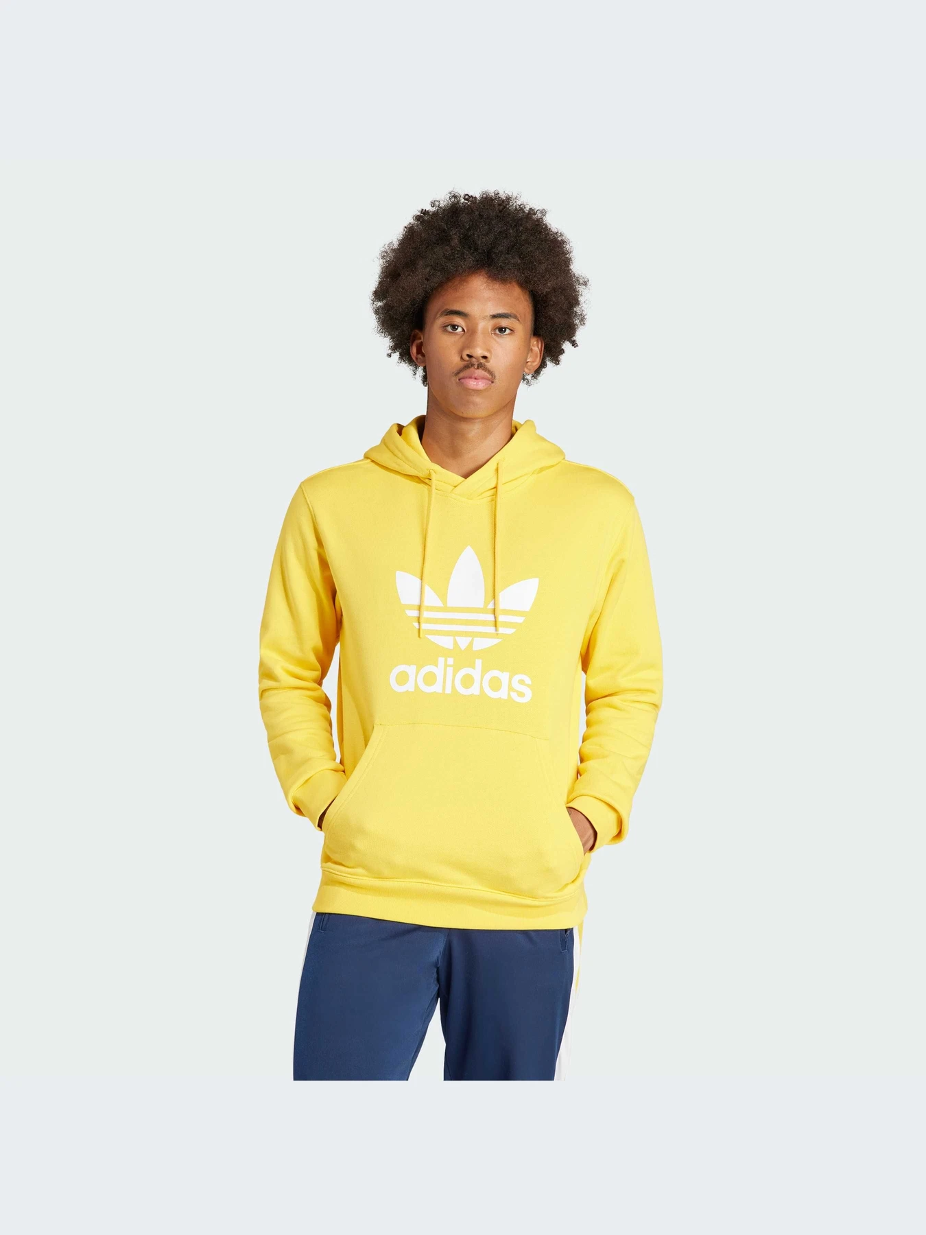 Худи и свитшоты Adidas Adicolor модель IM9409-KZ Худи и свитшоты Adidas Adicolor модель IM9409-KZ Фото