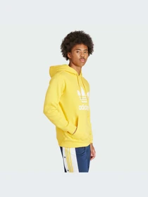 Худи и свитшоты Adidas Adicolor модель IM9409-KZ Фото