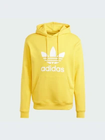 Худи и свитшоты Adidas Adicolor модель IM9409-KZ Фото