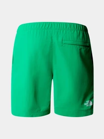 Шорты The North Face модель NF0A5IG5PO81 Фото