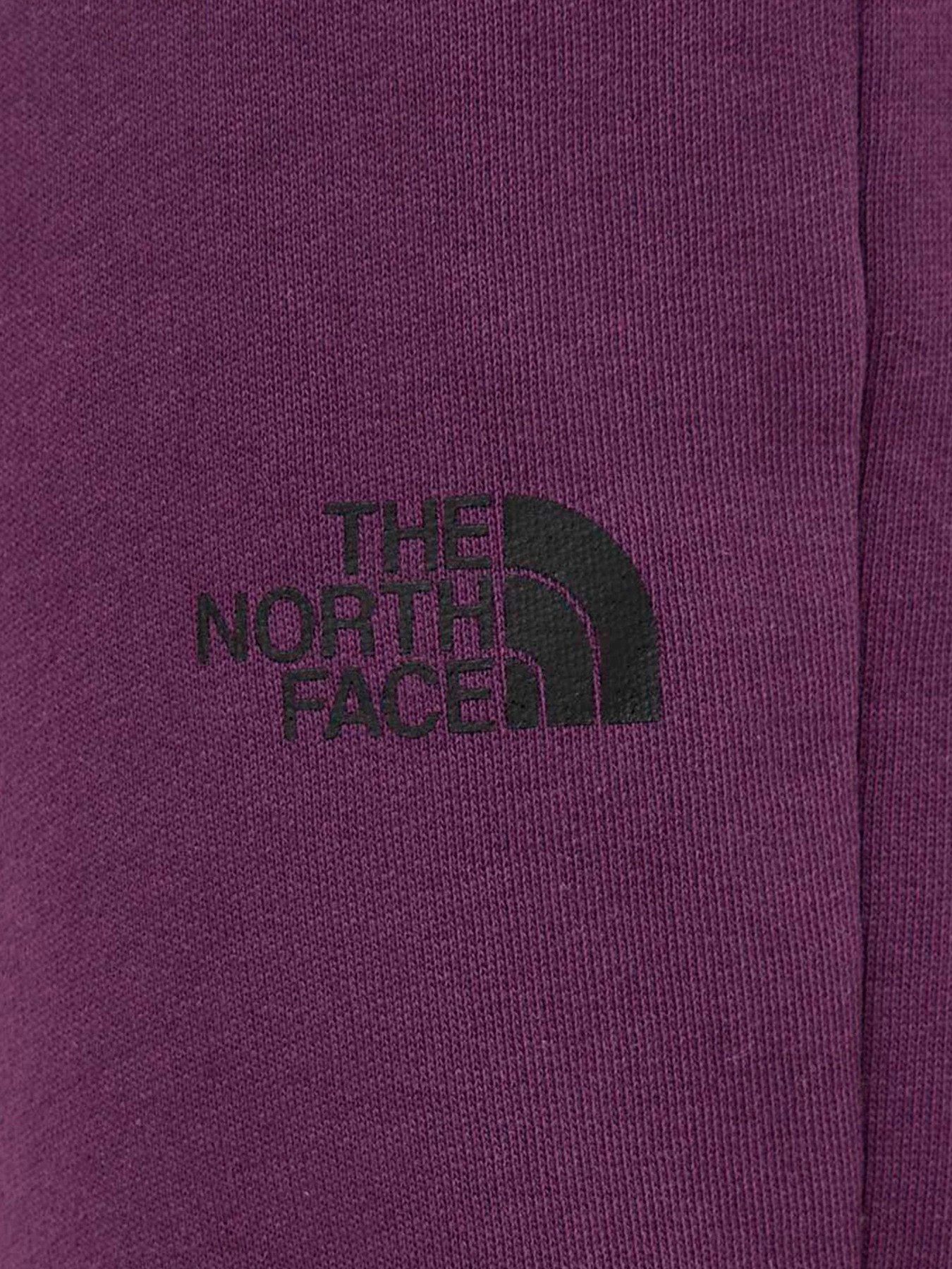 Брюки The North Face модель NF0A87E4V6V1 Брюки The North Face модель NF0A87E4V6V1 Фото