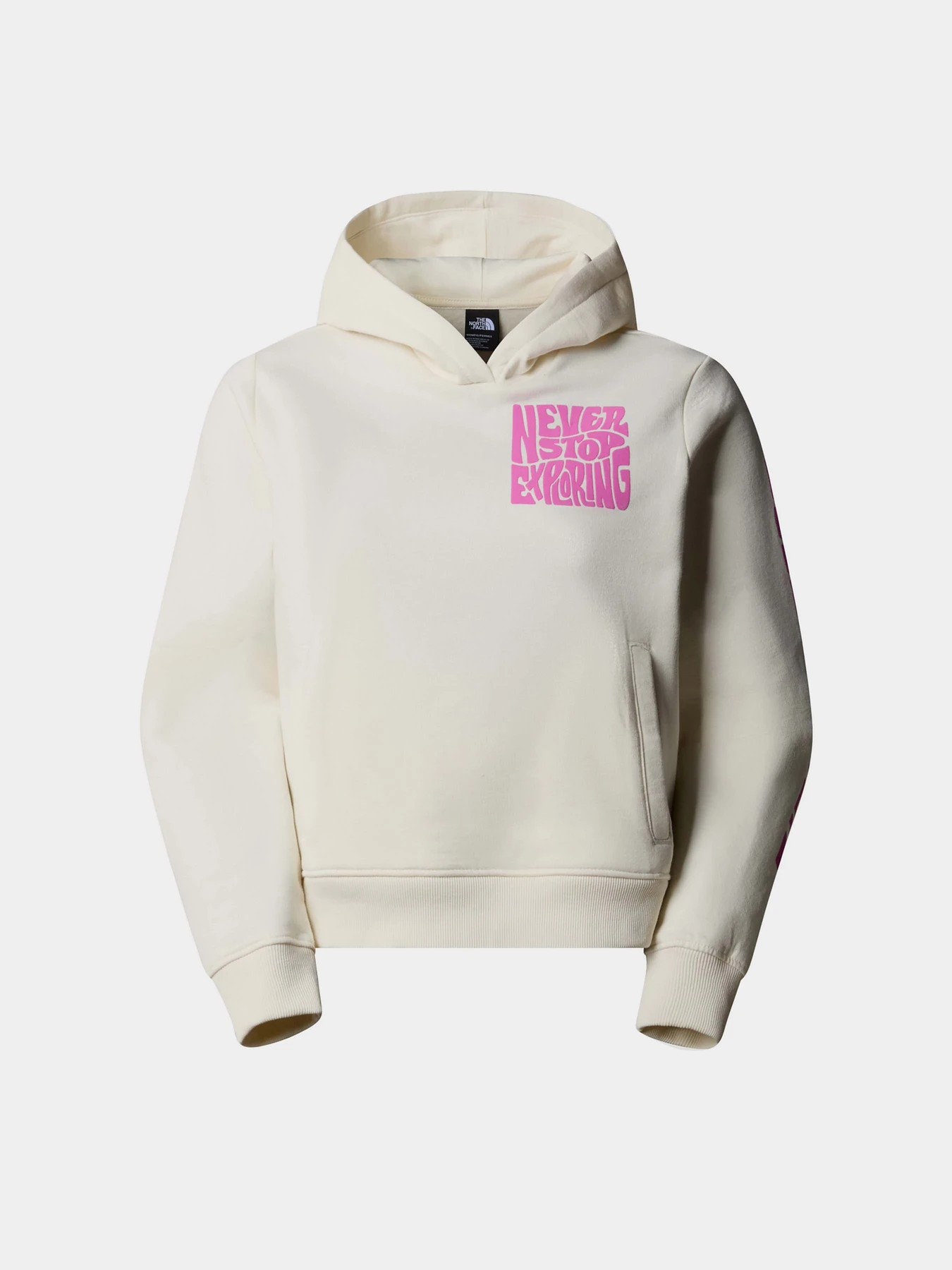 Худи и свитшоты The North Face модель NF0A87EPQLI1 Фото
